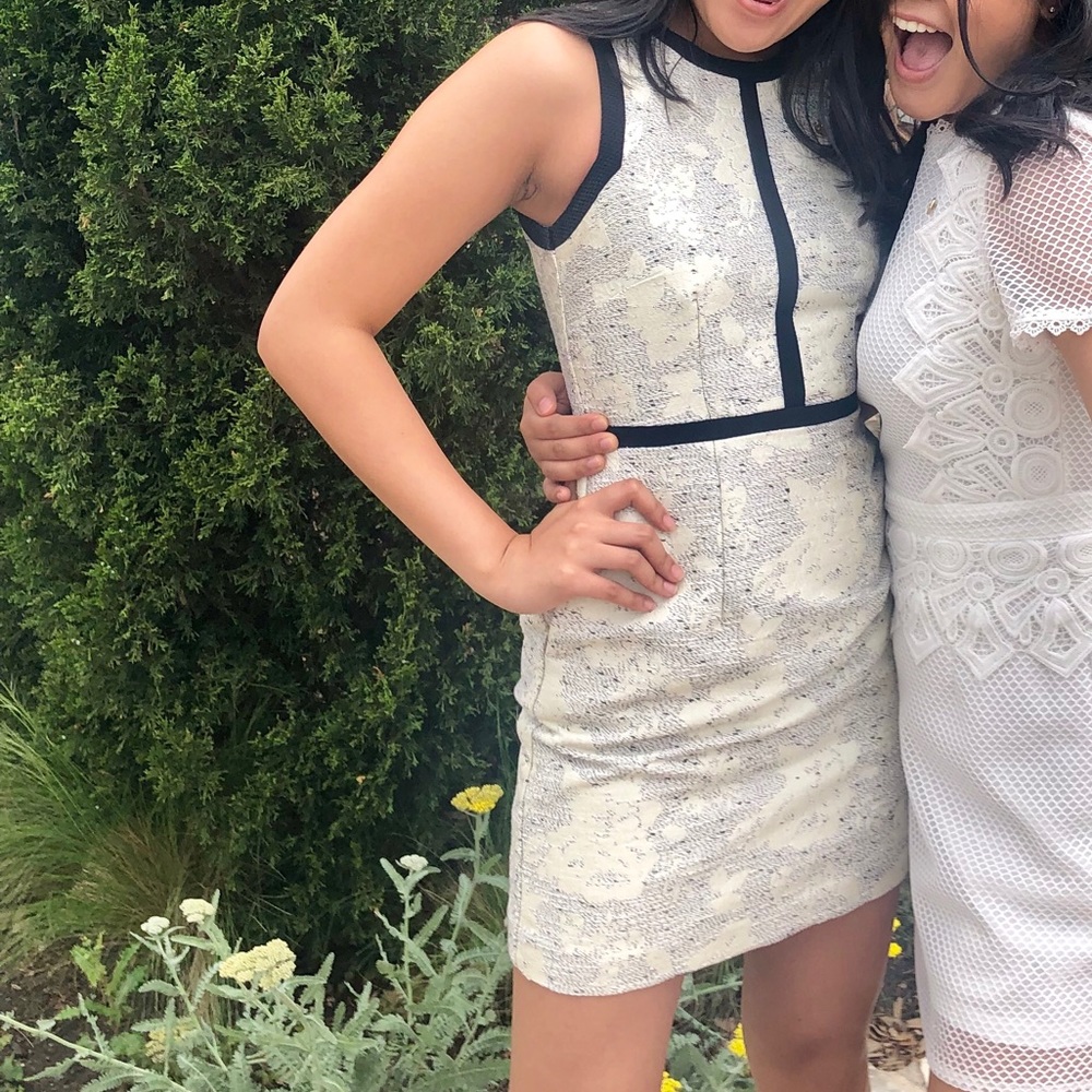 H&M jacquard black and cream dress